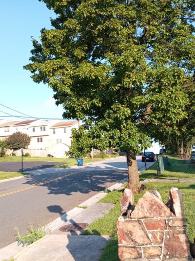 Royal Inn Motel - Front Royal, VA