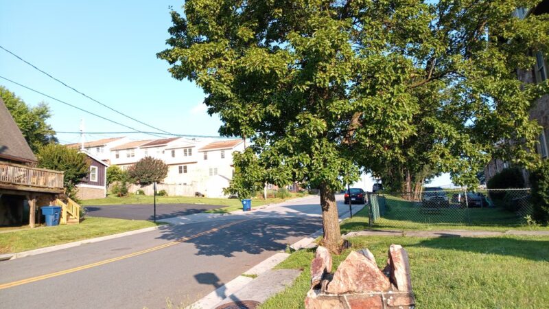 Royal Inn Motel - Front Royal, VA