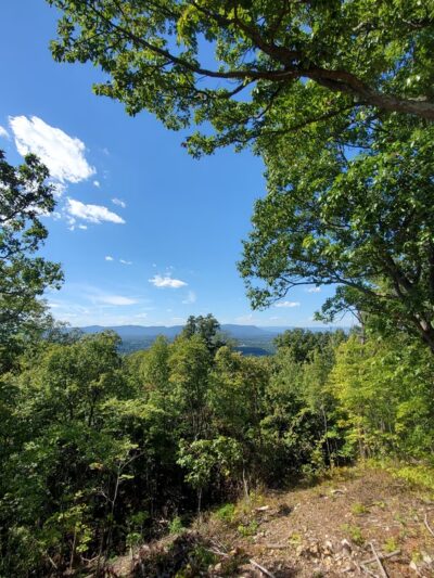 The Andreae Family Wellness and Recreation Trail - Front Royal, VA
