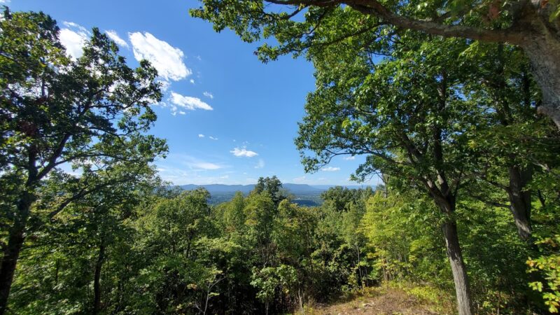 The Andreae Family Wellness and Recreation Trail - Front Royal, VA