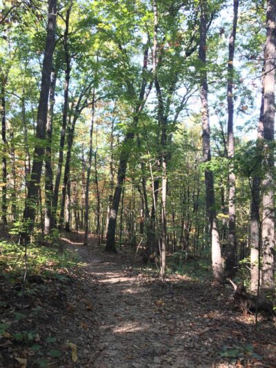 The Andreae Family Wellness and Recreation Trail - Front Royal, VA