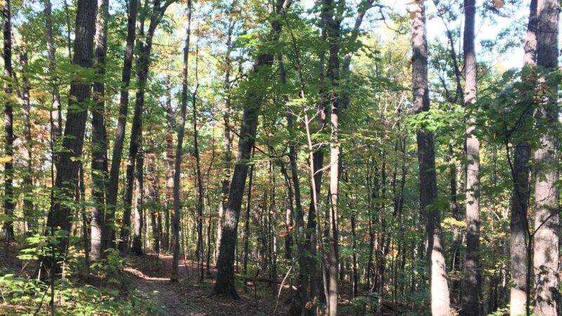 The Andreae Family Wellness and Recreation Trail - Front Royal, VA