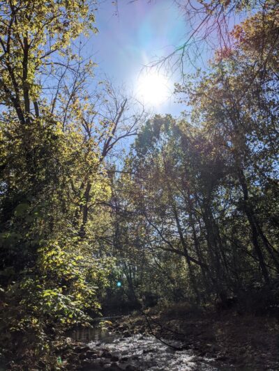 Warren County Parks & Recreation - Front Royal, VA