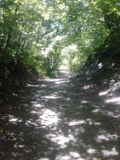 Wilderness Park - Frontenac, KS