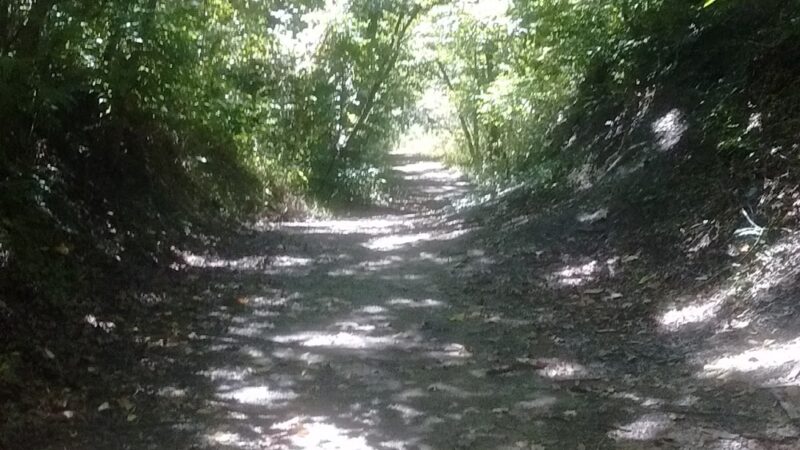 Wilderness Park - Frontenac, KS