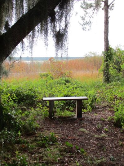 Hickory Lake Scrub - Frostproof, FL