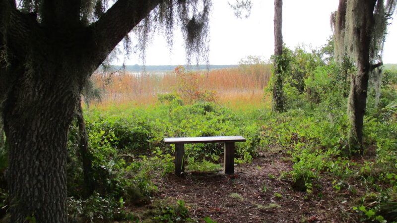 Hickory Lake Scrub - Frostproof, FL