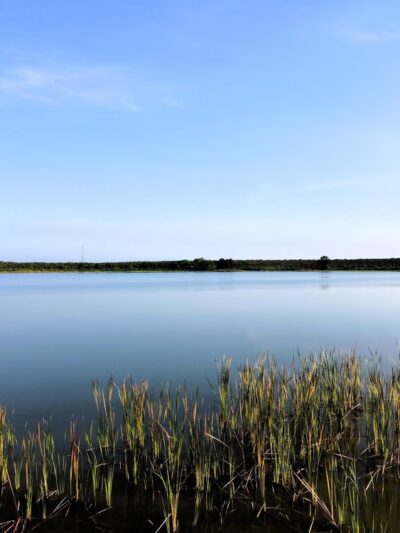 Hickory Lake Scrub - Frostproof, FL