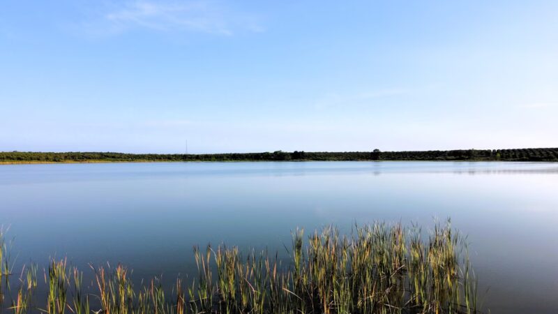 Hickory Lake Scrub - Frostproof, FL