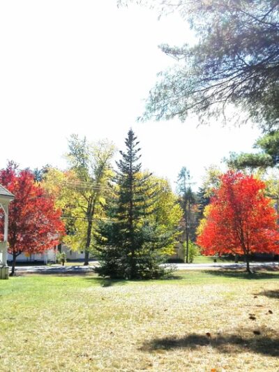 Bradley Park - Fryeburg, ME
