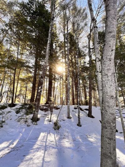 Fryeburg Town Forest - Fryeburg, ME
