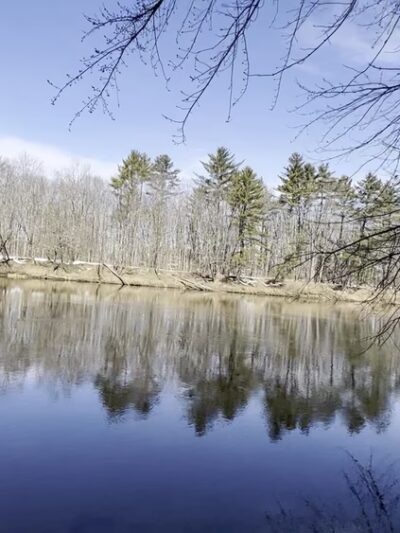 Fryeburg Town Forest - Fryeburg, ME