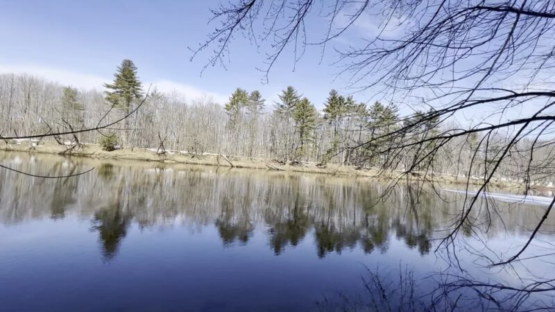 Fryeburg Town Forest - Fryeburg, ME