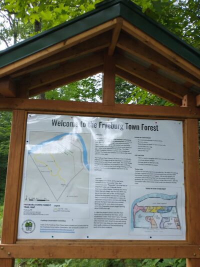 Fryeburg Town Forest - Fryeburg, ME
