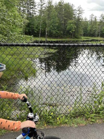 Mountain Division Trail- Fryeburg Bike Trail - Fryeburg, ME