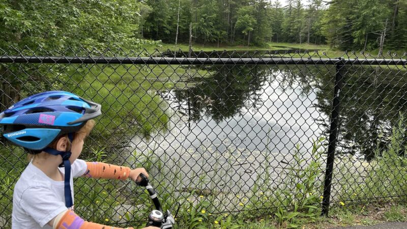 Mountain Division Trail- Fryeburg Bike Trail - Fryeburg, ME