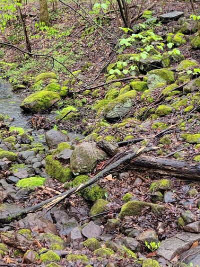 Great Bear Recreational Trails - Fulton, NY