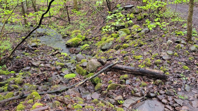 Great Bear Recreational Trails - Fulton, NY