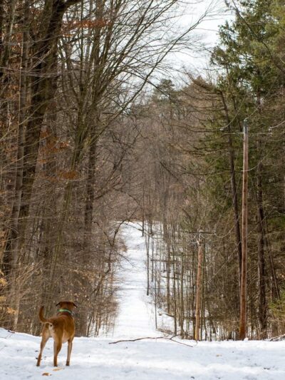 Great Bear Recreational Trails - Fulton, NY