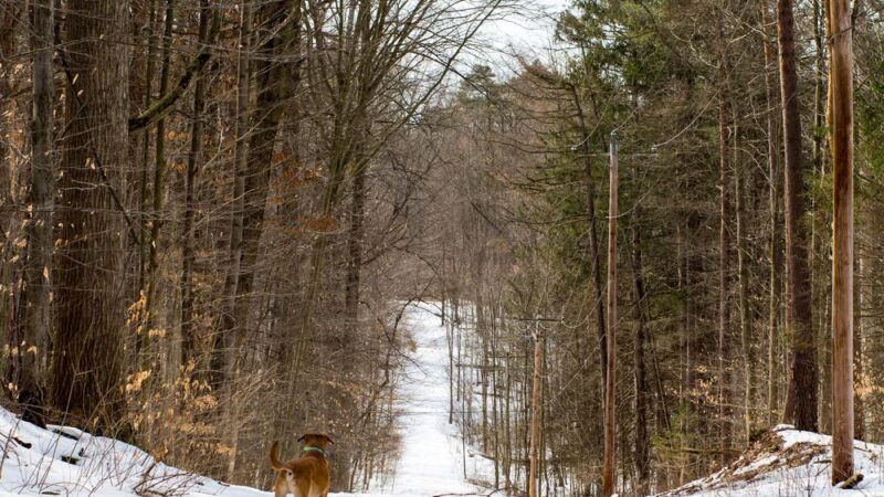 Great Bear Recreational Trails - Fulton, NY