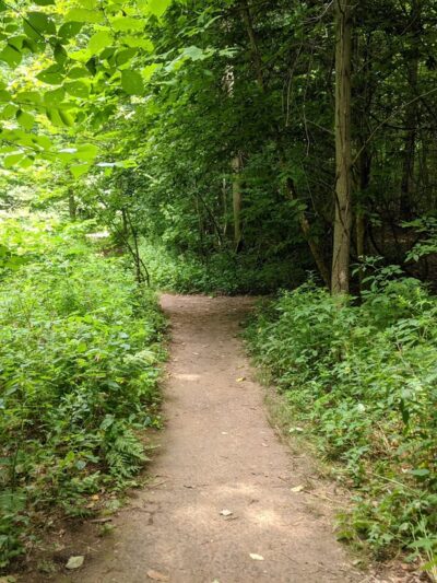 Great Bear Recreational Trails - Fulton, NY