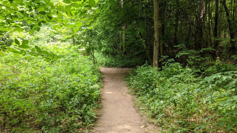 Great Bear Recreational Trails - Fulton, NY