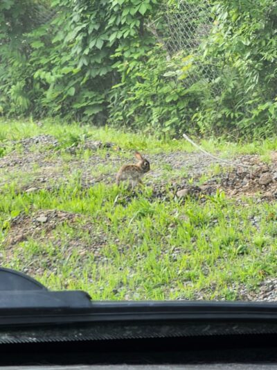 North Bay Campgrounds - Fulton, NY