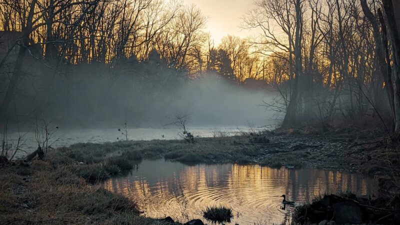 Dark Hollow - Furlong, PA