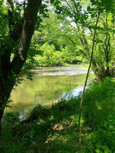 Dark Hollow - Furlong, PA