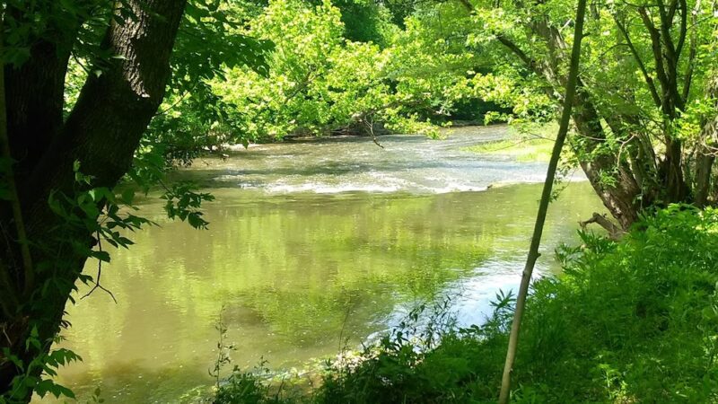 Dark Hollow - Furlong, PA