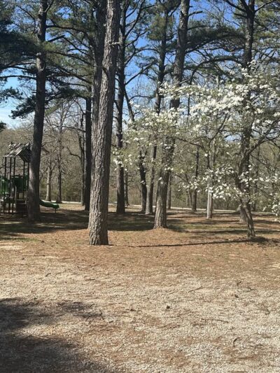 Hoerman Park - Gainesville, MO