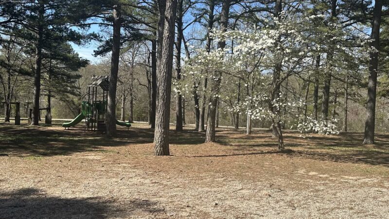 Hoerman Park - Gainesville, MO