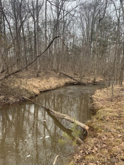 Rolling Creek Park - Gainesville, VA