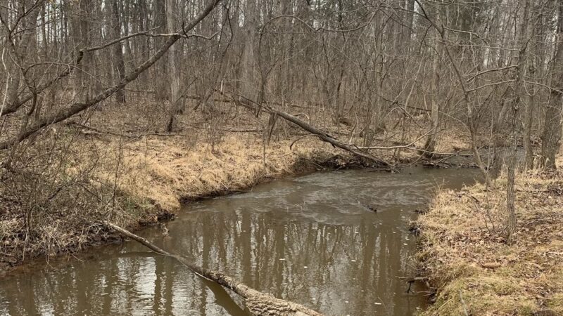 Rolling Creek Park - Gainesville, VA