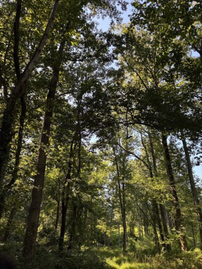 Diamond Farm Park Trails - Gaithersburg, MD