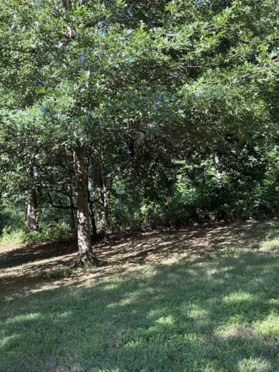 Diamond Farm Park Trails - Gaithersburg, MD