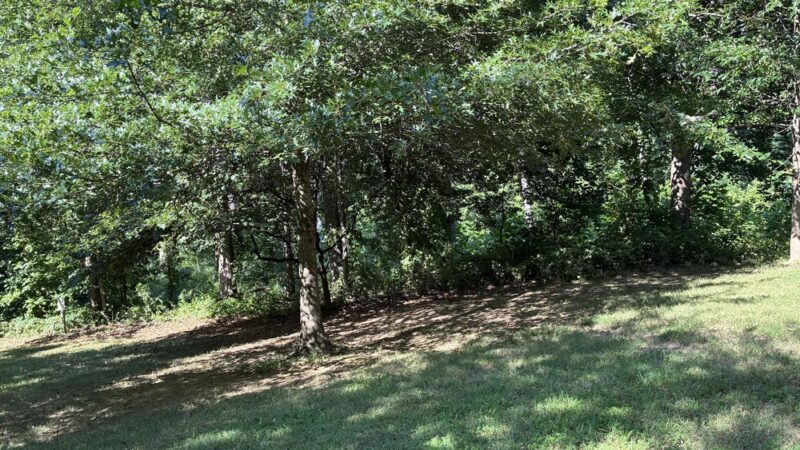 Diamond Farm Park Trails - Gaithersburg, MD