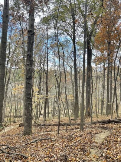 Diamond Farm Park Trails - Gaithersburg, MD