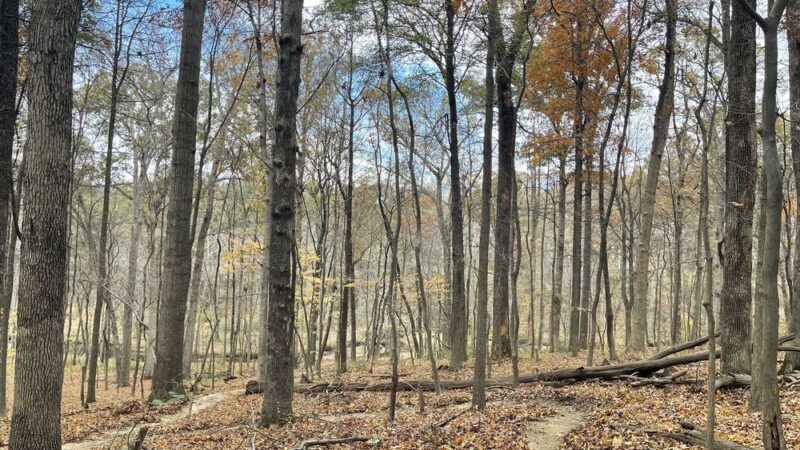 Diamond Farm Park Trails - Gaithersburg, MD