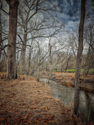 Goshen Branch Stream Valley Park - Gaithersburg, MD