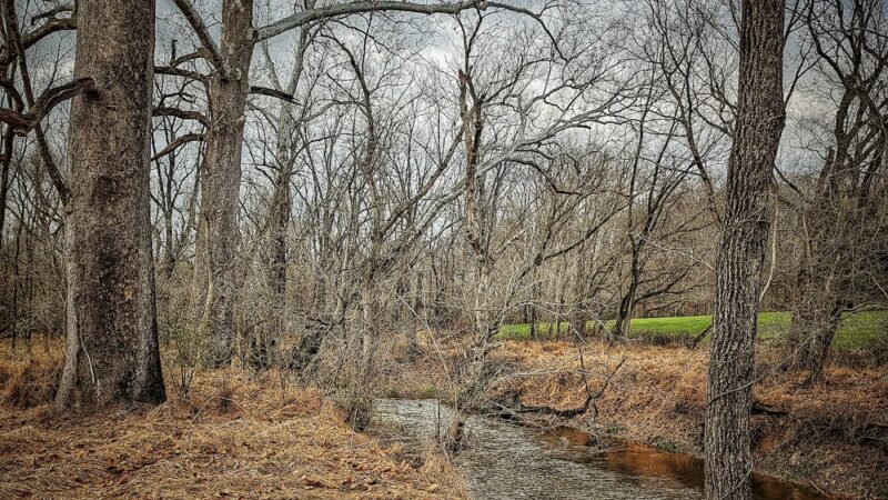 Goshen Branch Stream Valley Park - Gaithersburg, MD