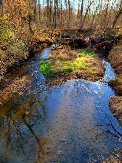 Goshen Branch Stream Valley Park - Gaithersburg, MD