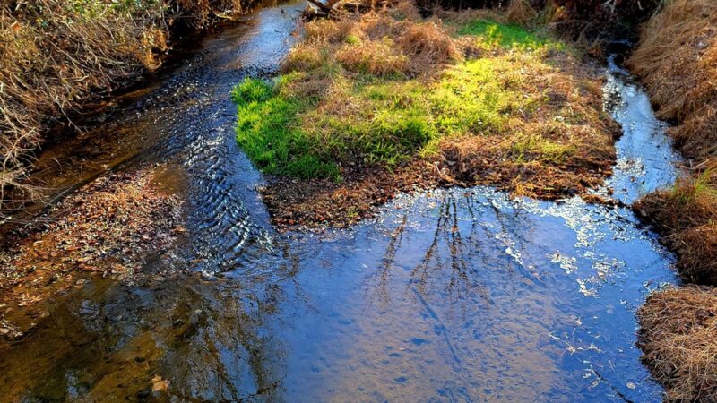 Goshen Branch Stream Valley Park - Gaithersburg, MD
