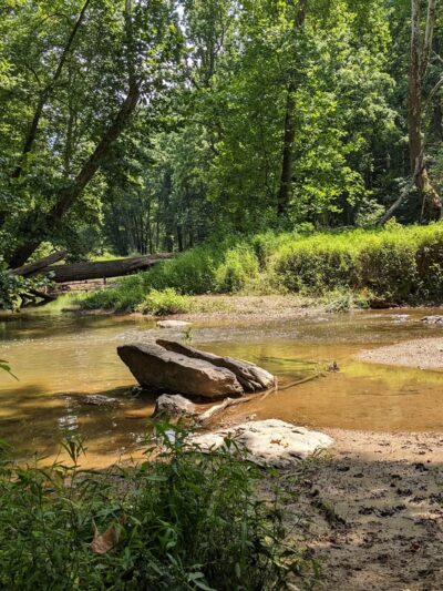 Goshen Branch Stream Valley Park - Gaithersburg, MD