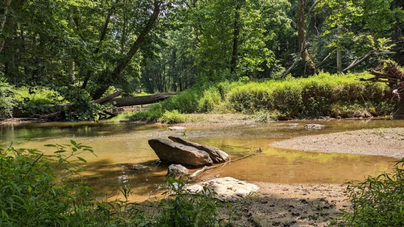 Goshen Branch Stream Valley Park - Gaithersburg, MD
