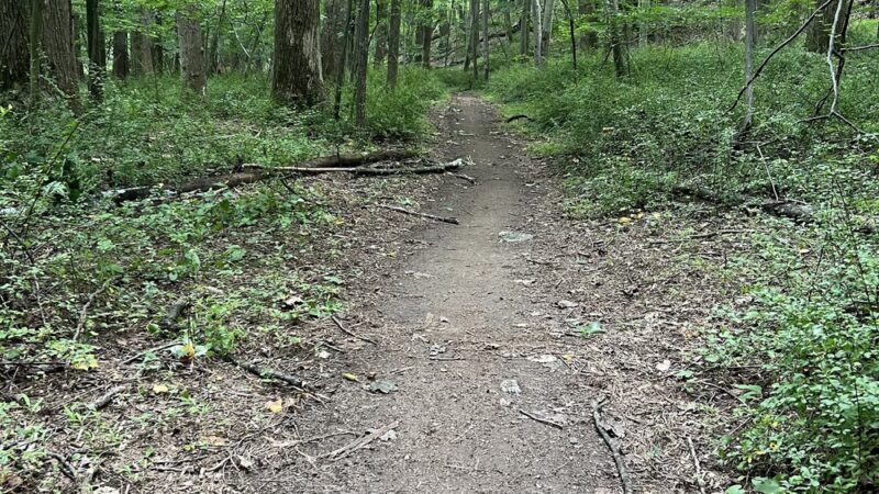Magruder Branch Stream Valley Park - Gaithersburg, MD