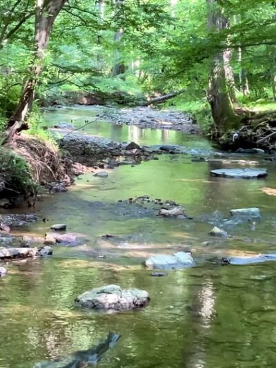 Magruder Branch Stream Valley Park - Gaithersburg, MD