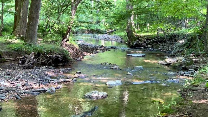 Magruder Branch Stream Valley Park - Gaithersburg, MD