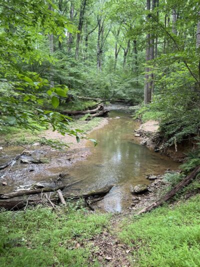 Magruder Branch Stream Valley Park - Gaithersburg, MD