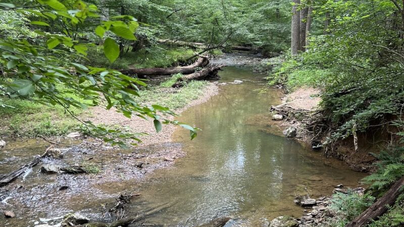 Magruder Branch Stream Valley Park - Gaithersburg, MD